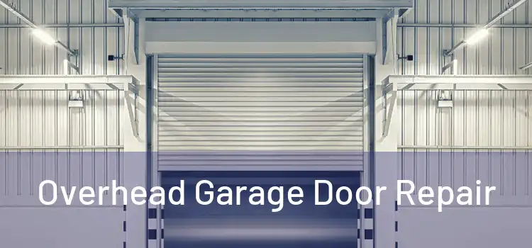 Overhead Garage Door Repair